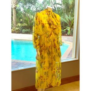 Retro Mod Sheer Dress